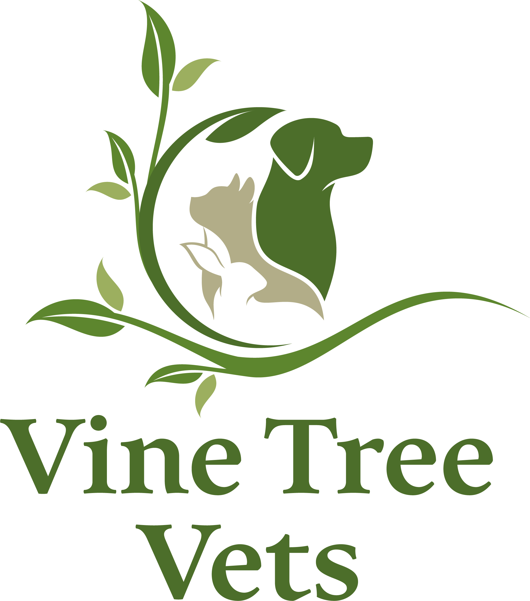 Vine Tree Vets, Ross-on-Wye logo