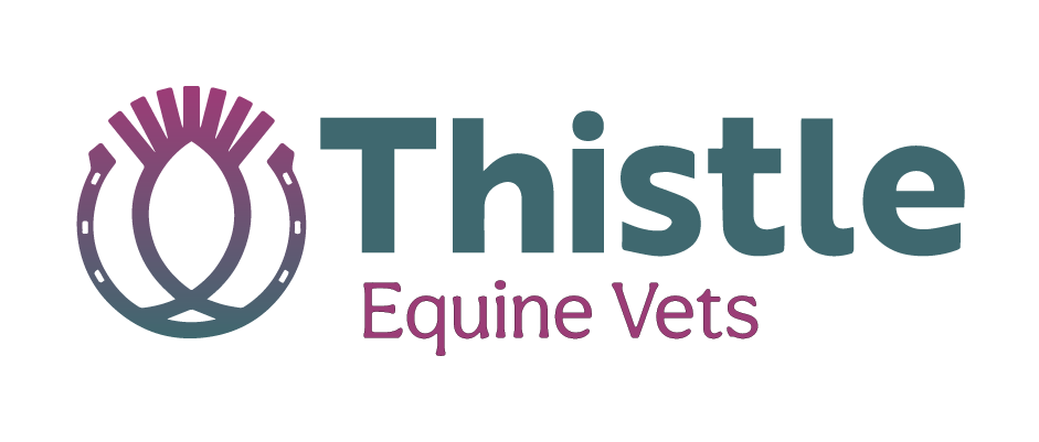 Thistle Equine, Strathaven logo