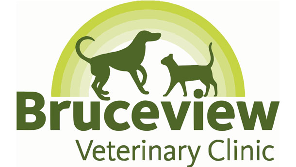 Bruceview Vets, Stirling logo