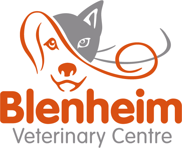 Blenheim Veterinary Centre, Ashbourne logo