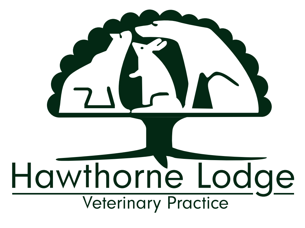Hawthorne Lodge Veterinary Practice, Banbury logo
