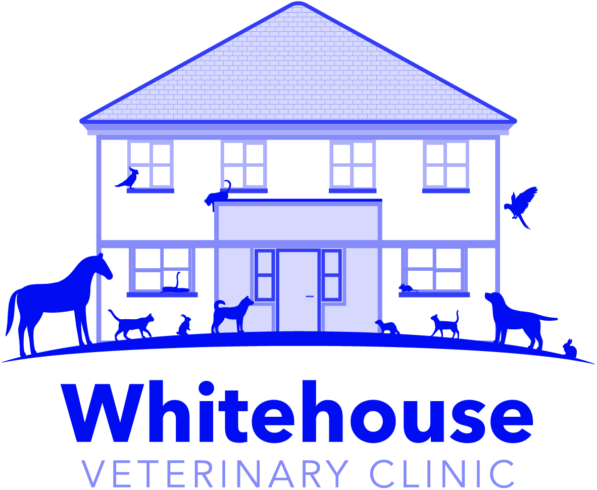 Whitehouse Veterinary Clinic, Londonderry logo