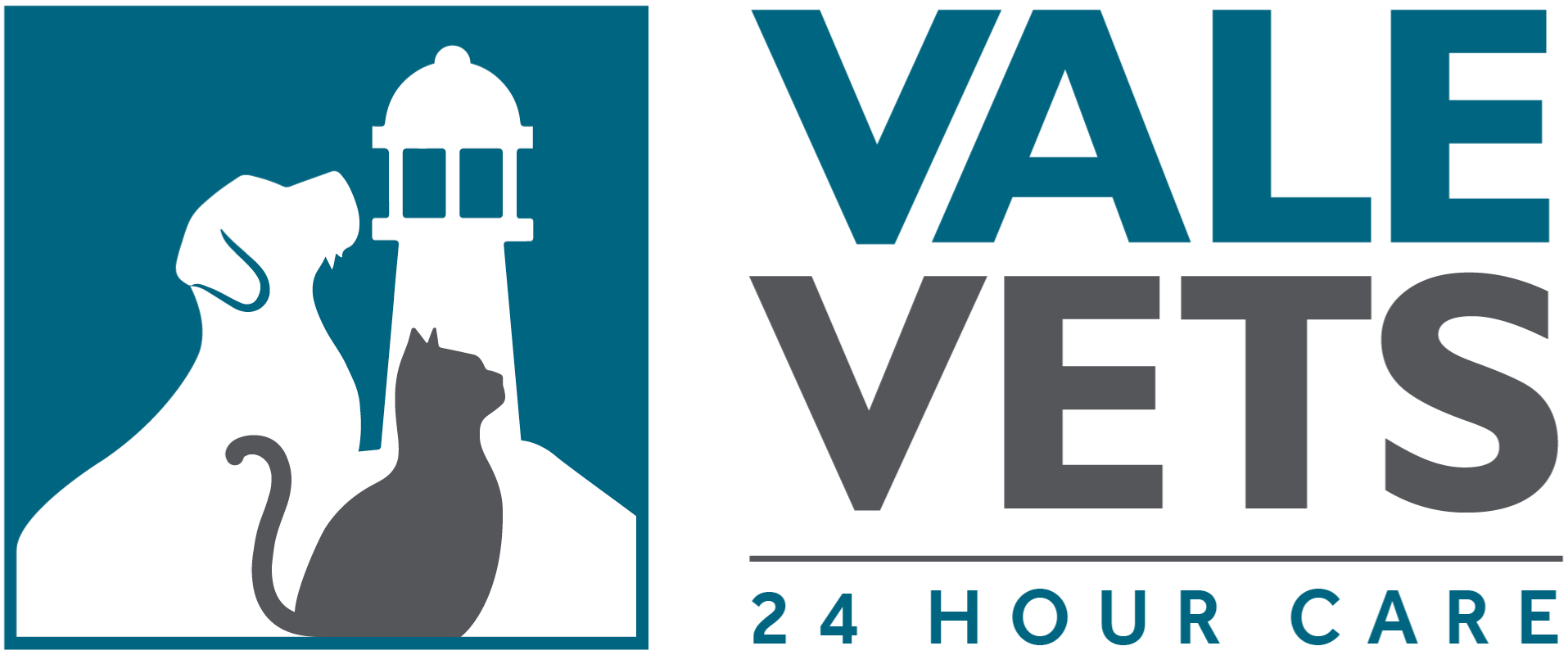 Vale Vets Clevedon logo