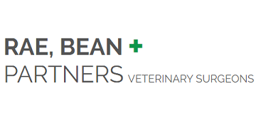 Rae Bean and Partners, York logo