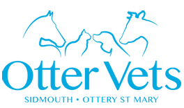 Otter Vets - Sidmouth logo