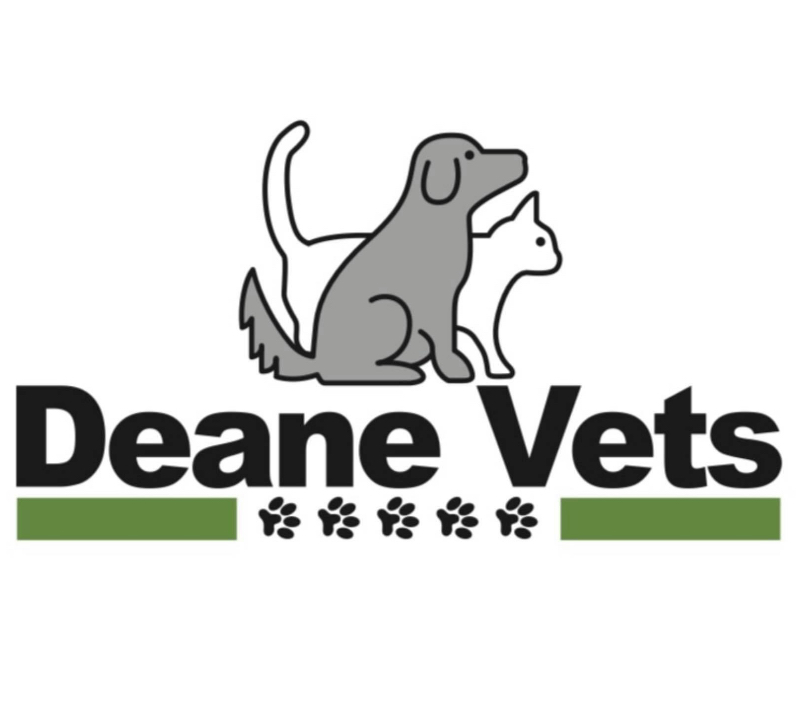 Deane Vets, Taunton logo