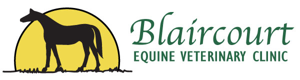 Blaircourt Equine Veterinary Clinic, Chelmsford logo