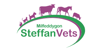 Steffan Veterinary Services, Lampeter logo