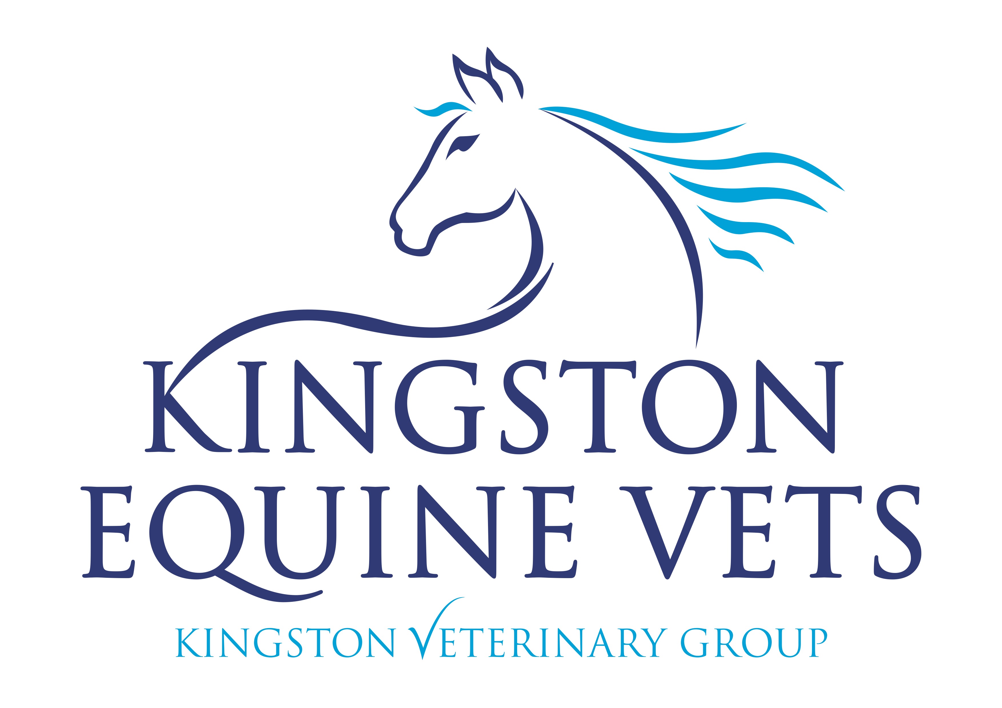 Kingston Equine Vets, Shavehill logo
