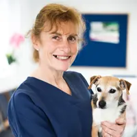 Suzanne - Veterinary Surgeon