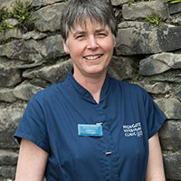 Amanda Stephens - Receptionist