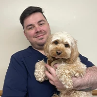 Emre Akgun - MRCVS Veterinary Surgeon
