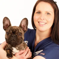 Helen Lee - Head Veterinary Nurse