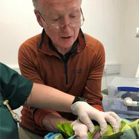 Aidan Raftery - Clinical Director