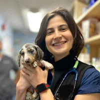 Busra Senol - Veterinary Surgeon