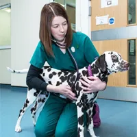 Kirsty Illingworth - Registered Veterinary Nurse