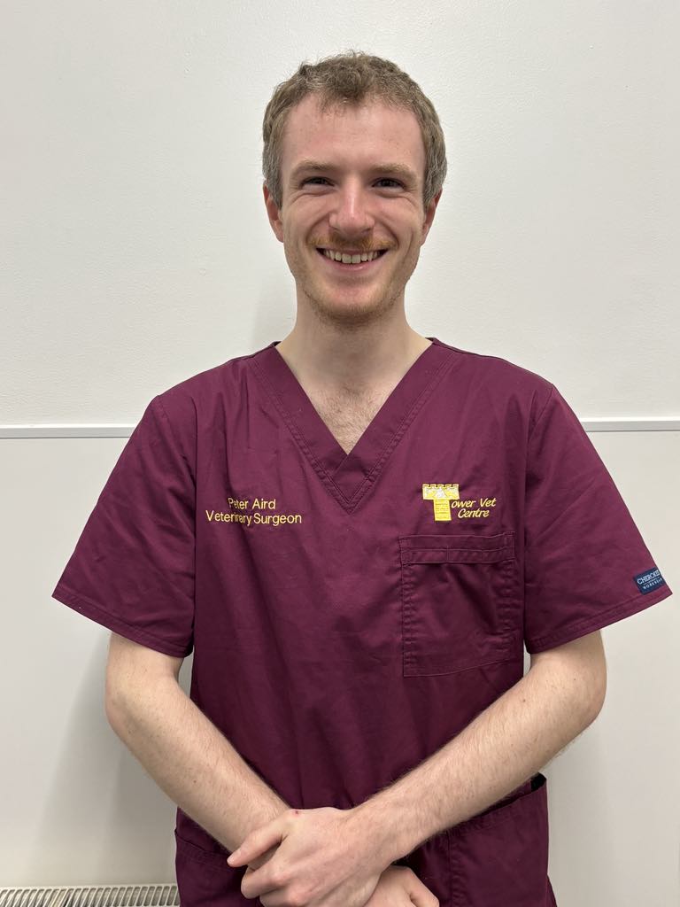 Peter Aird - BVMS MRCVS Veterinary Surgeon