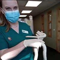 Alice Barkley - Head Nurse - Exotics