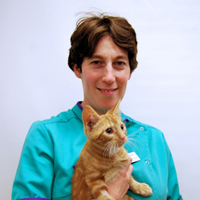Charlotte Matthews - Veterinary Surgeon