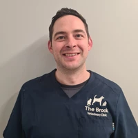 Derek Bell - Veterinary Surgeon (Small Animal)