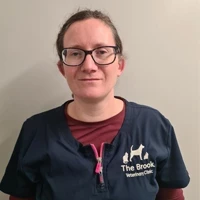 Lesley Moore - Veterinary Surgeon (Small Animal)