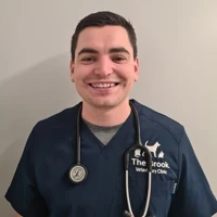 Kevin Maguire - Veterinary Surgeon