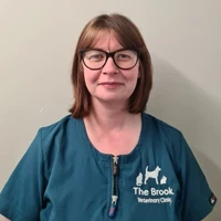 Sara Gauley - Wilson - Veterinary Nurse