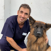 Tiago Cardoso - DVM MRCVS GP Cert SAS Head Veterinary Surgeon