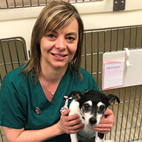 Tara Hart - RVN Head Veterinary Nurse