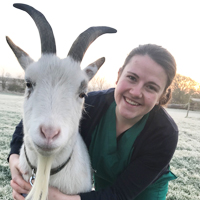 Hannah Sanderson - RVN Veterinary Nurse