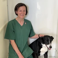 Sonya Harris - BSc(Hons) RVN Veterinary Nurse