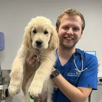 Josh Wanklyn - BVSc BSc(Hons) MRCVS Veterinary Surgeon RCVS