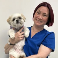 Lauren Simpson - BVetMed MRCVS Veterinary Surgeon