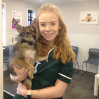 Lauren Hall - RVN Veterinary Nurse