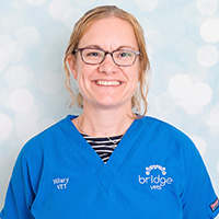 Hilary Blackhall - BVMS MRCVS Veterinary Surgeon
