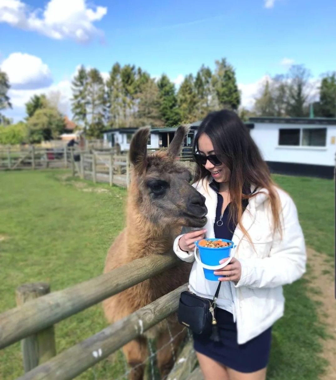 Millie - Veterinary Care Assistant