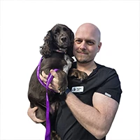 Bogdan Lupu - MRCVS Pg Cert SAS Veterinary Surgeon