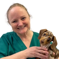 Anne Apsley - BVMS MRCVS Veterinary Surgeon