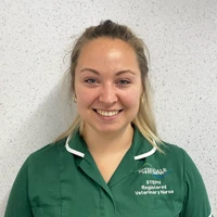 Stephanie Wilson - RVN Registered Veterinary Nurse