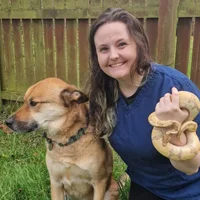 Arie Anderson - BVM&S MRCVS Veterinary Surgeon