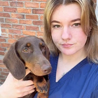 Maddie Boyle - Student Veterinary Nurse