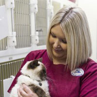 Dawn Bristow - Receptionist