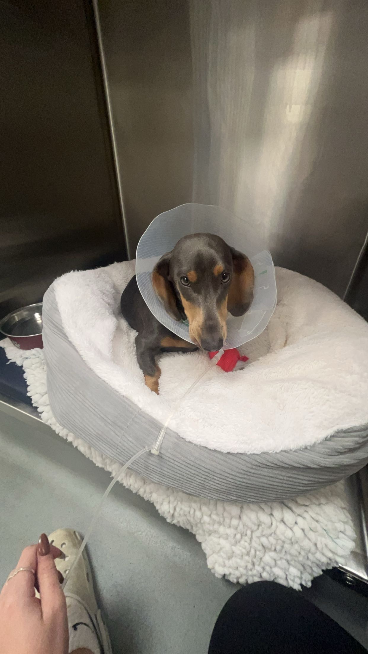 Leah Mott - Receptionist