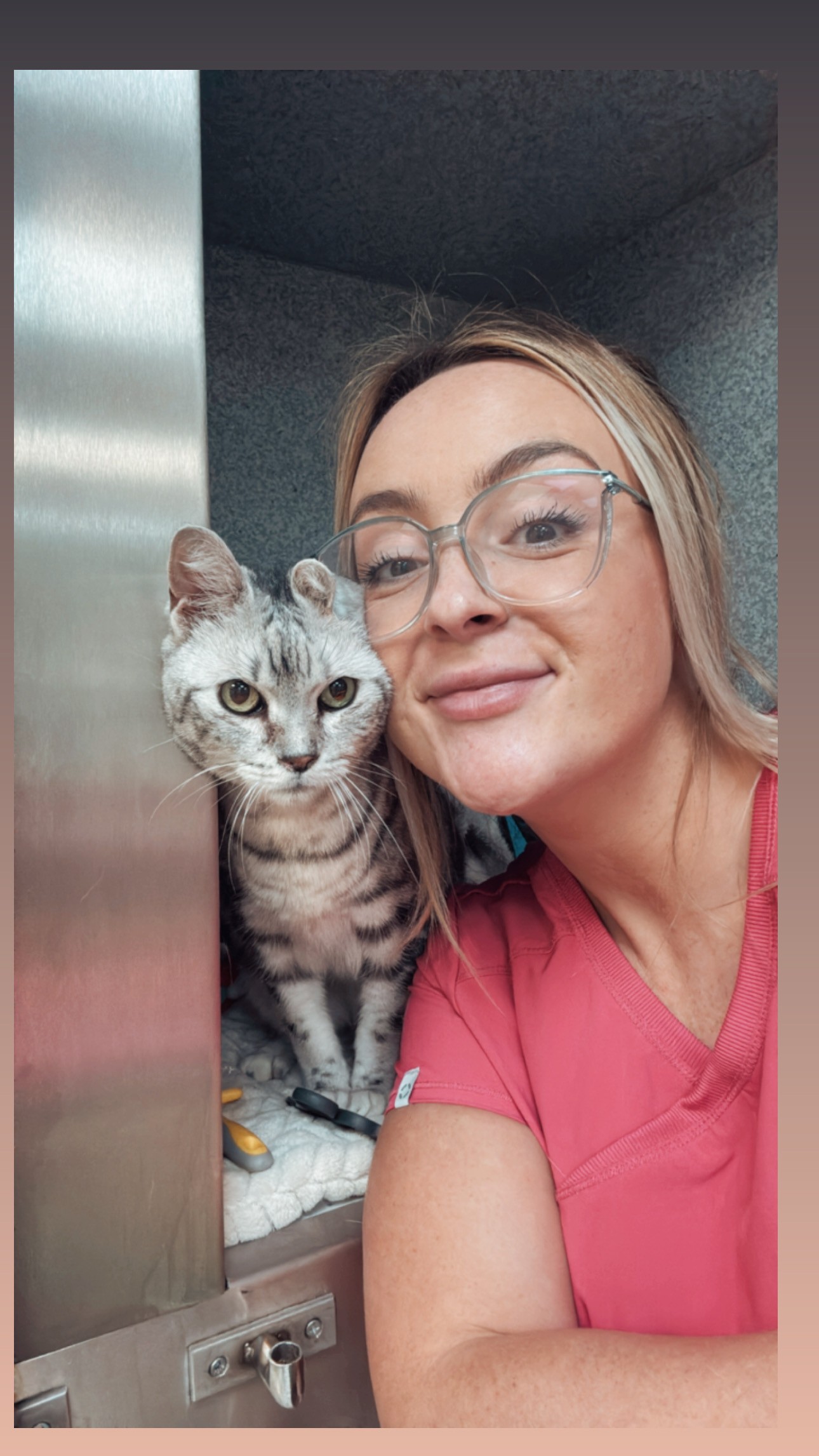 Chantelle - ISFMAdvCertFB, CVLM (HR), RVN Head Veterinary Nurse