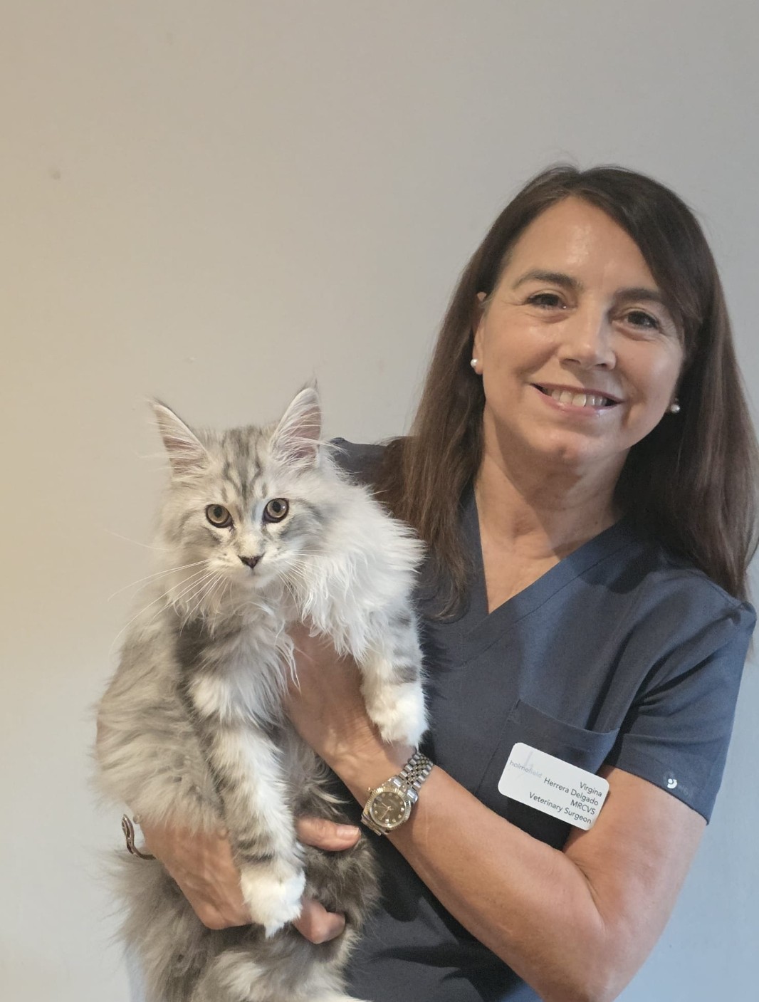 Virginia - Veterinary Surgeon