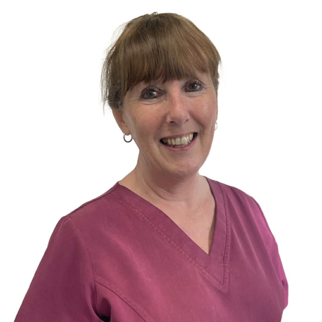 Sharon Knight - Veterinary Nursing Assistant