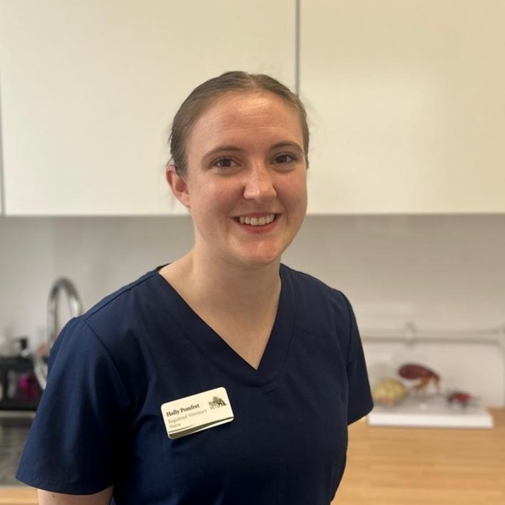 Holly Pomfret - Registered Veterinary Nurse