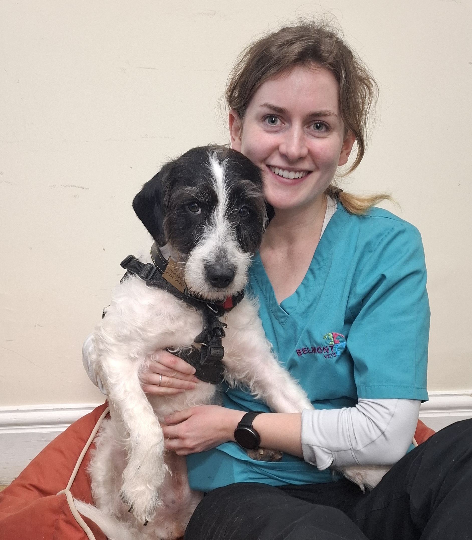 Elise Cooper - Veterinary Surgeon