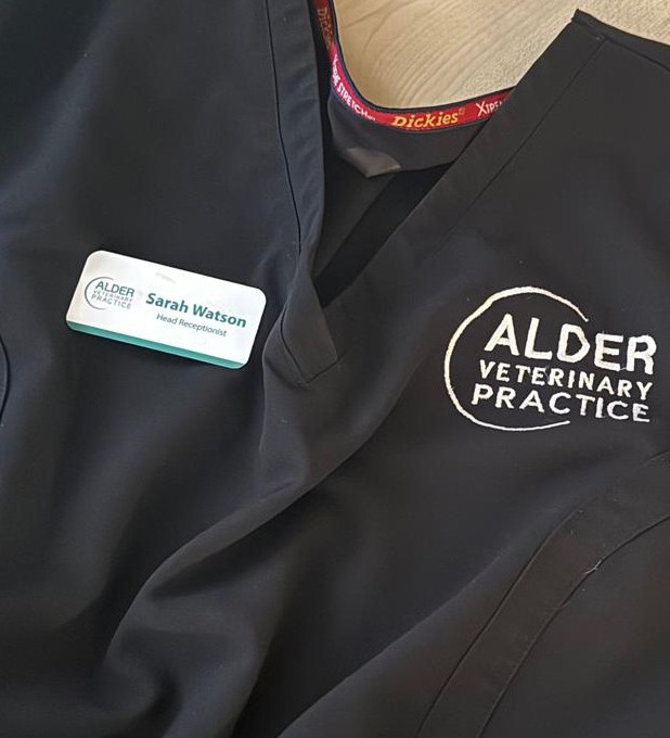 Sarah Watson - Head Receptionist