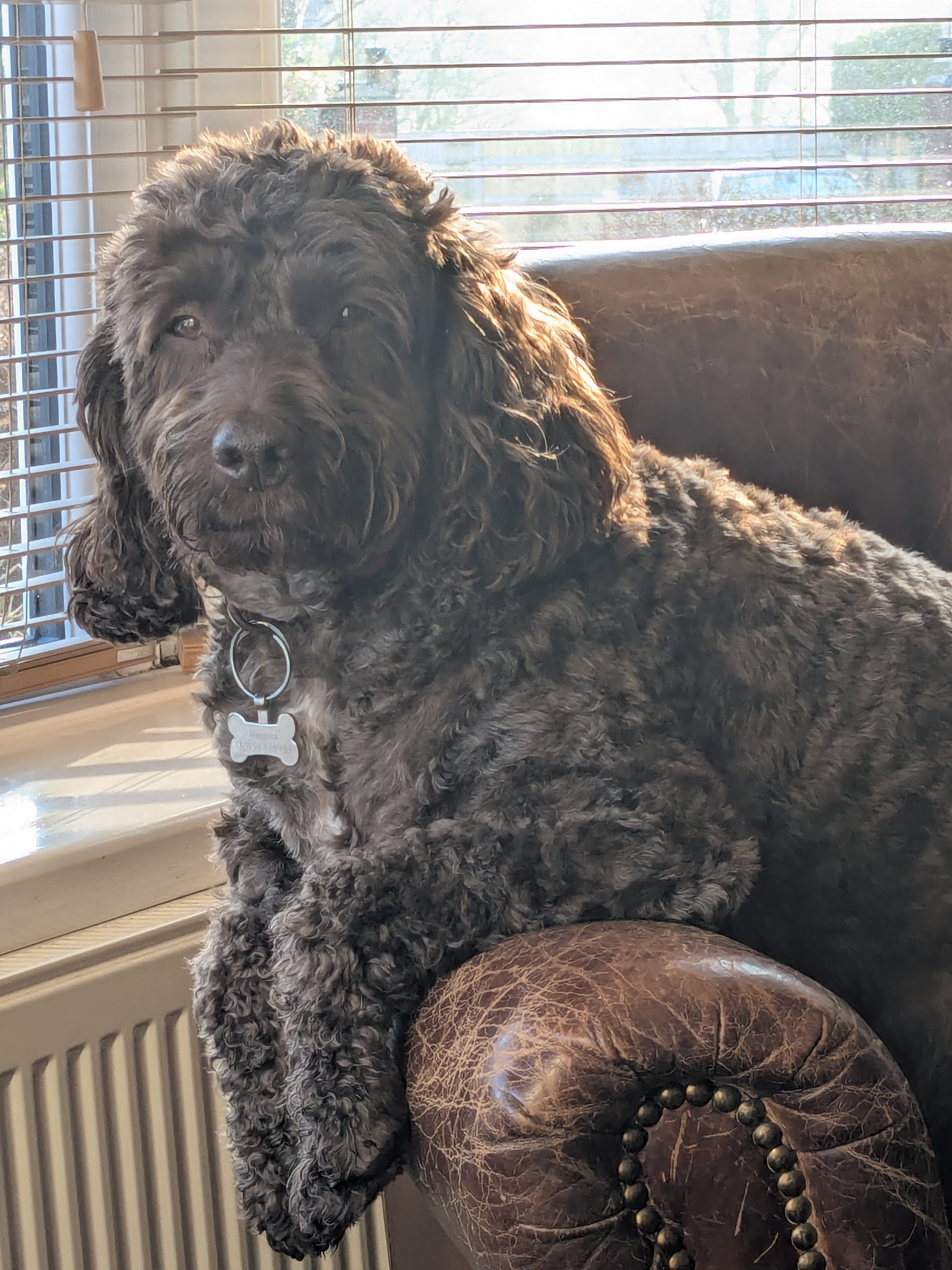 Alison Higgins - Admin Manager